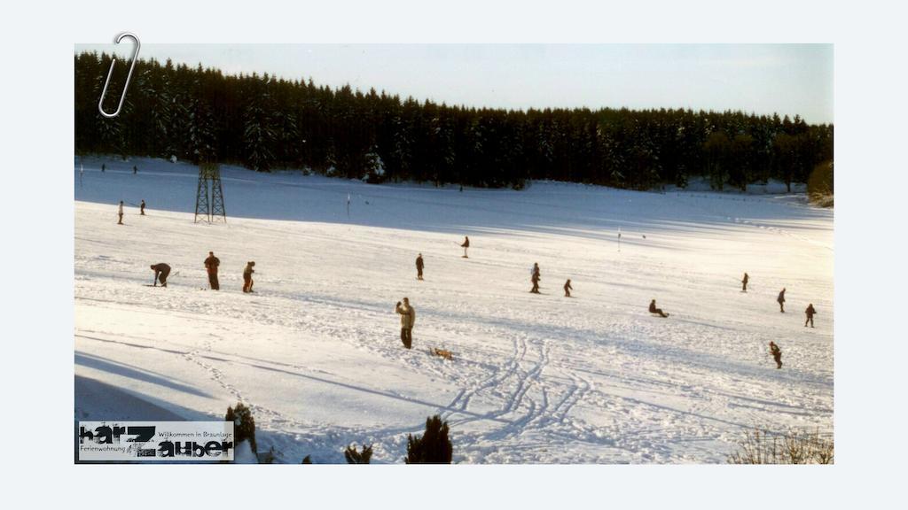 Ferienwohnung Harzauber Braunlage Oda fotoğraf